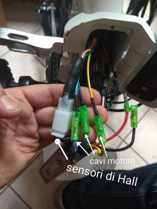 cableado_1.jpg